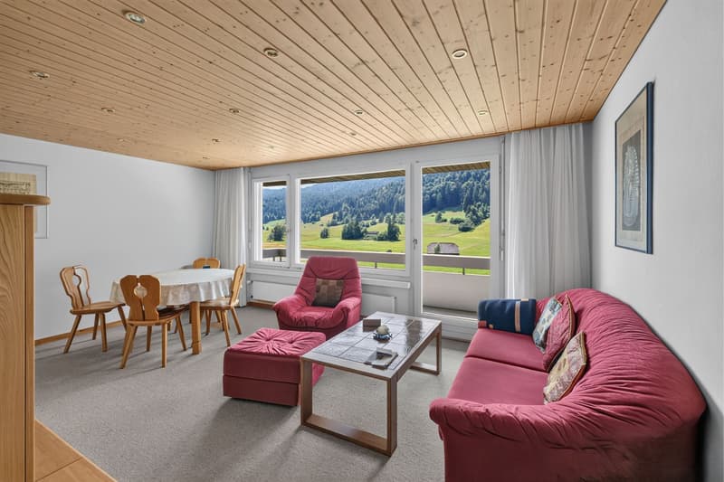 Sonniges 2.5-Zimmer-Feriendomizil mit Bergsicht, Loipe und Skilift vor der Tür (3)
