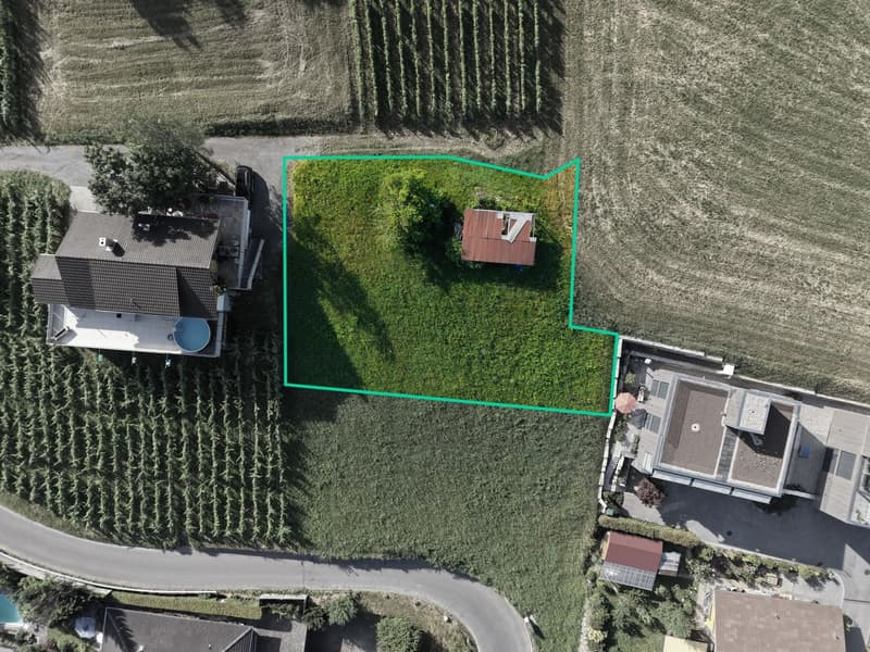 Baulandparzelle am Südhang mit Weitsicht über das Rheintal (3)
