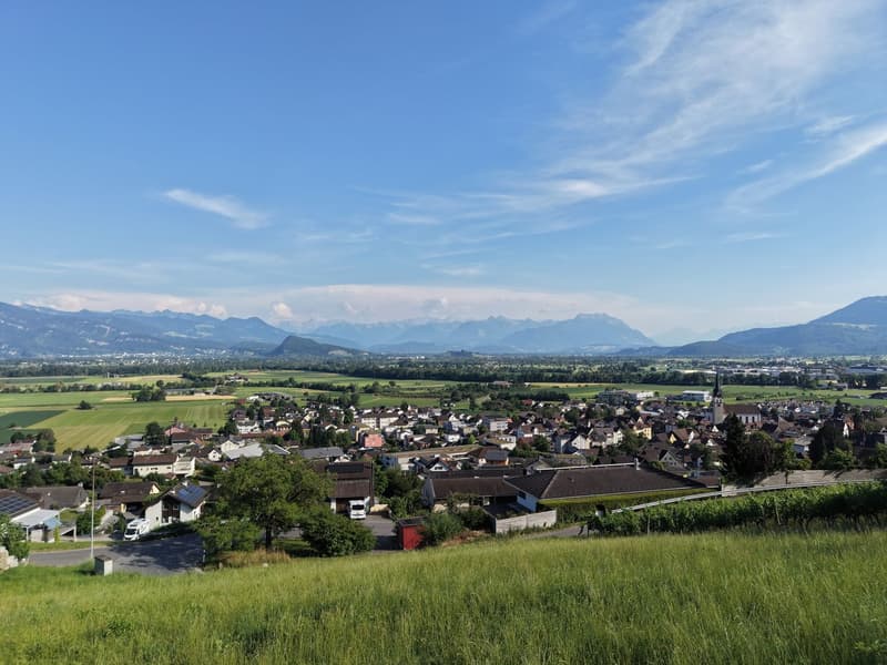 Baulandparzelle am Südhang mit Weitsicht über das Rheintal (2)