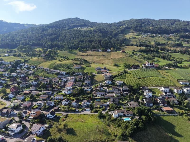 Baulandparzelle am Südhang mit Weitsicht über das Rheintal (8)