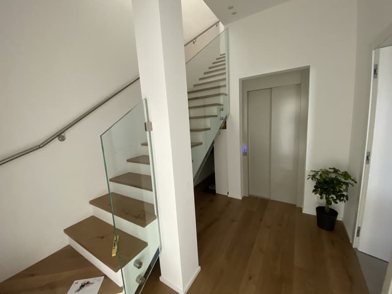 modern entrance with wooden floor, glass staircase, elevator, white walls, potted plant