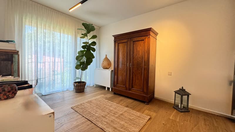 Spettacolare 31/2 locali con  terrazza (8)