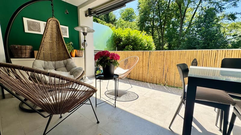 Spettacolare 31/2 locali con  terrazza (5)