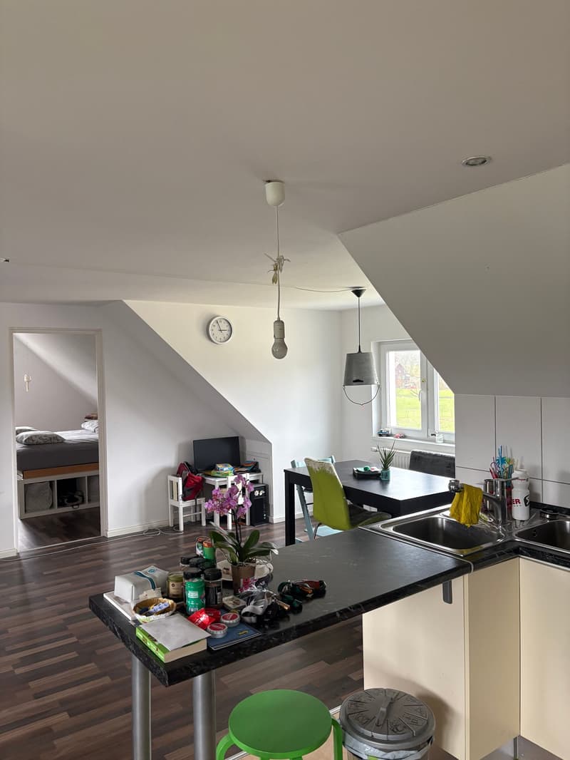 Open kitchen, dining table, bedroom, white walls, white ceiling, wooden floor, lamp, table, chair, sofa, sink, waste basket, plants