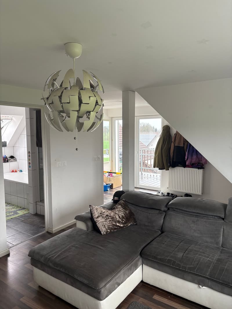 large modern living room, gray sofa, wooden floor, modern lamp, entrance to the bathroom