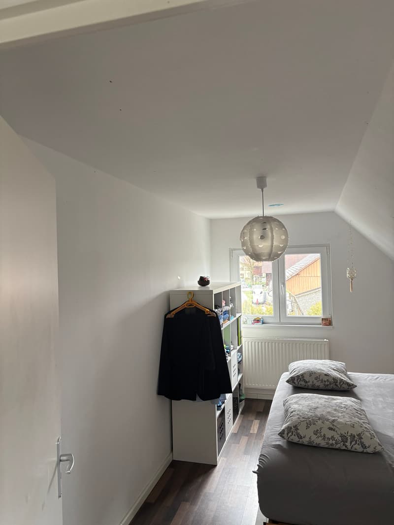 white walls, white ceiling, hardwood floor, double bed, grey comforter, two pillows, white shelving unit, hanging black jacket, white radiator, round lamp, window with view of houses outside