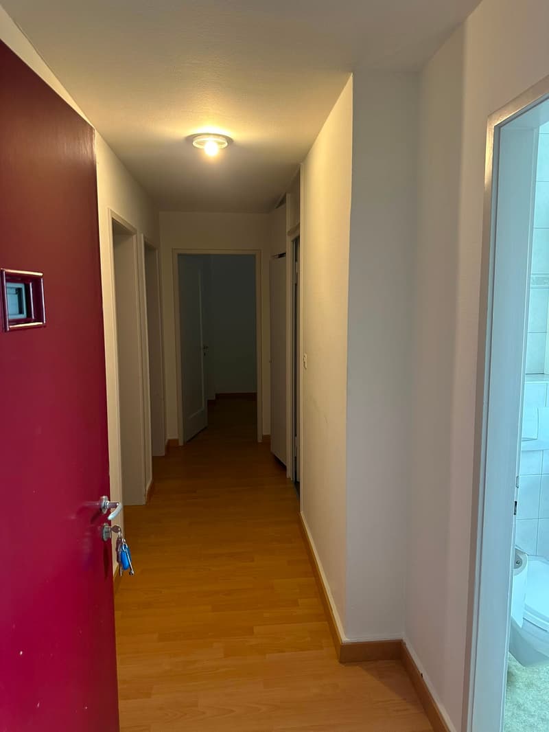 Charmant appartement 3 pièces dans un quartier calme de Rorschacherberg (2)
