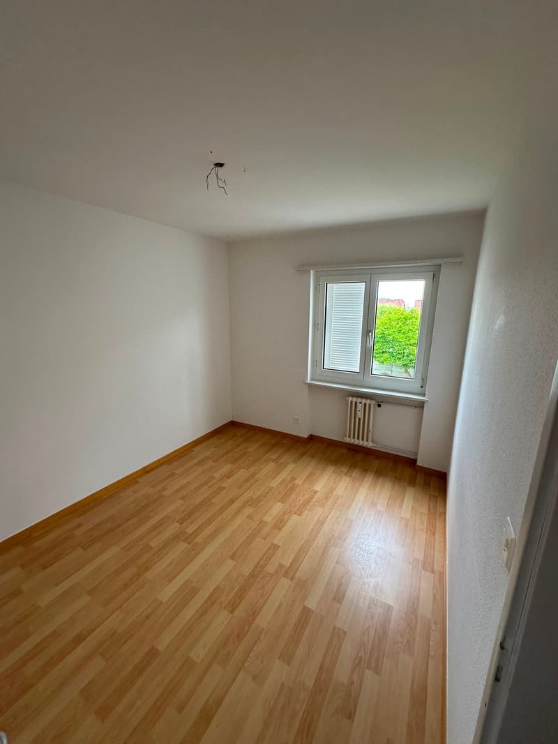 Charmant appartement 3 pièces dans un quartier calme de Rorschacherberg (10)