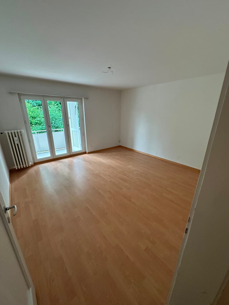 Charmant appartement 3 pièces dans un quartier calme de Rorschacherberg (11)