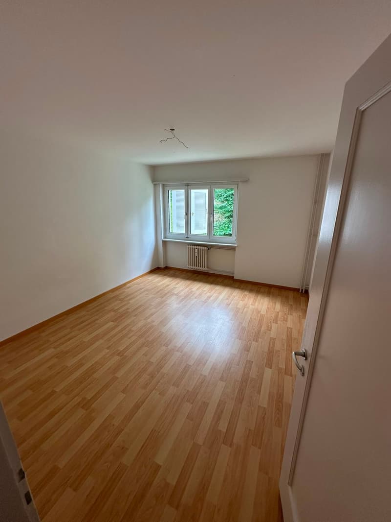 Charmant appartement 3 pièces dans un quartier calme de Rorschacherberg (4)