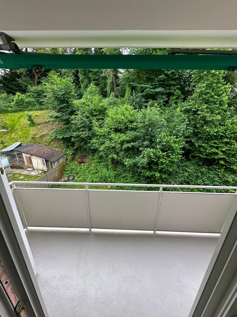Charmant appartement 3 pièces dans un quartier calme de Rorschacherberg (12)