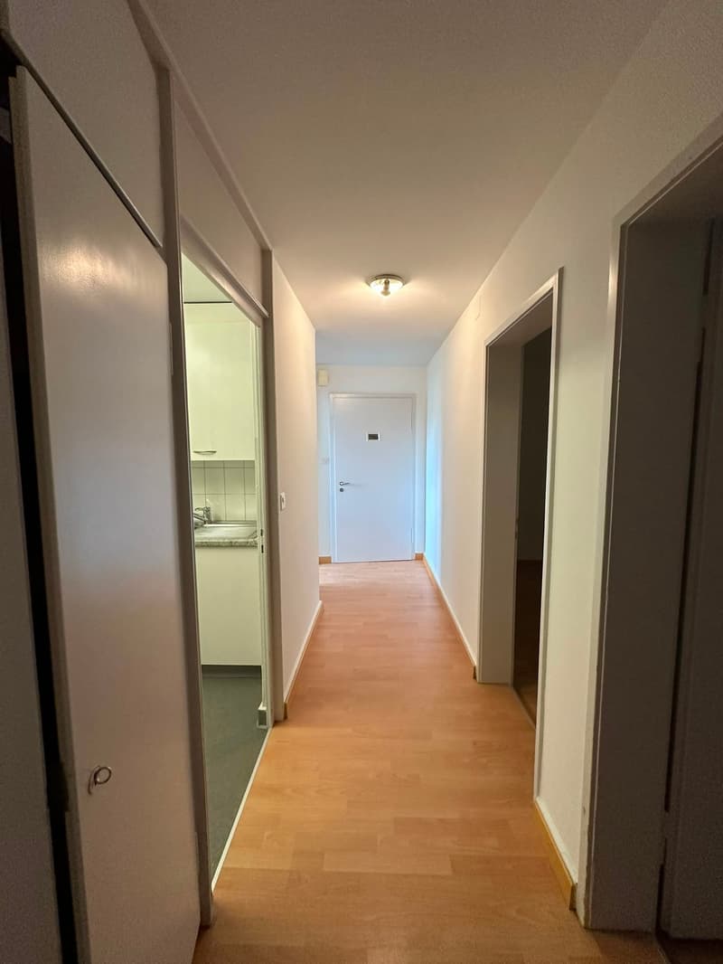 Charmant appartement 3 pièces dans un quartier calme de Rorschacherberg (14)