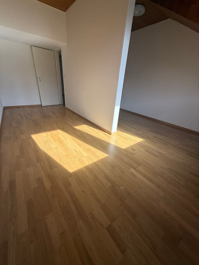 Charmante 4.5-Zimmer-Maisonette-Wohnung an der Langgasse in St. Gallen (19)