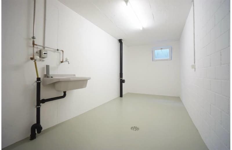 4.5-Zi.-Wohnung in Schafisheim kaufen (13)