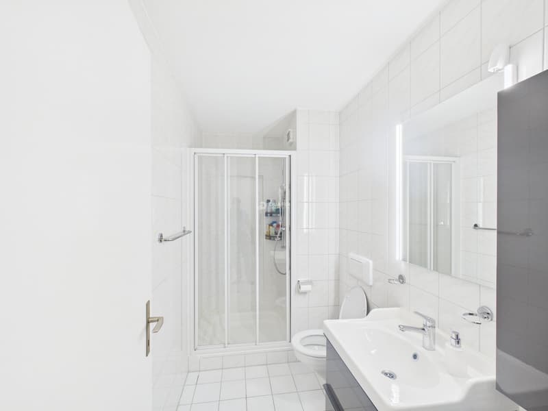 4.5-Zi.-Wohnung in Schafisheim kaufen (11)