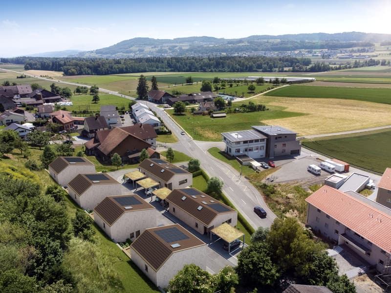 4.5-Zimmer-DEFH mit Garten und PV in Egliswil kaufen (3)