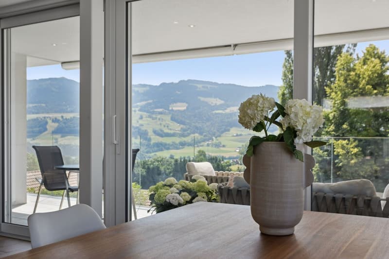 Vue depuis la salle à manger et accès au balcon