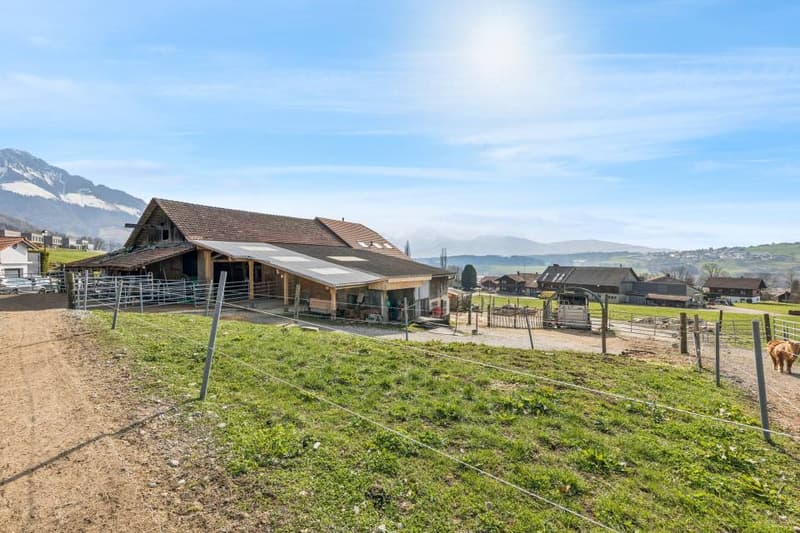 Terrain à bâtir de 2'198m2 avec ferme rénovée (4)