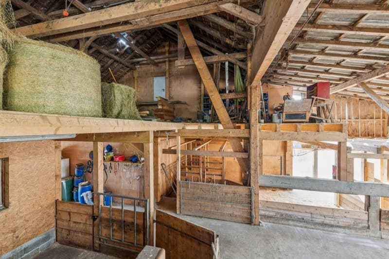 Terrain à bâtir de 2'198m2 avec ferme rénovée (6)