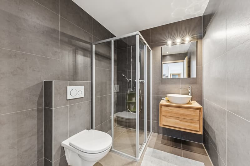 Salle de douche/WC de l'appartement 2.5 pièces
