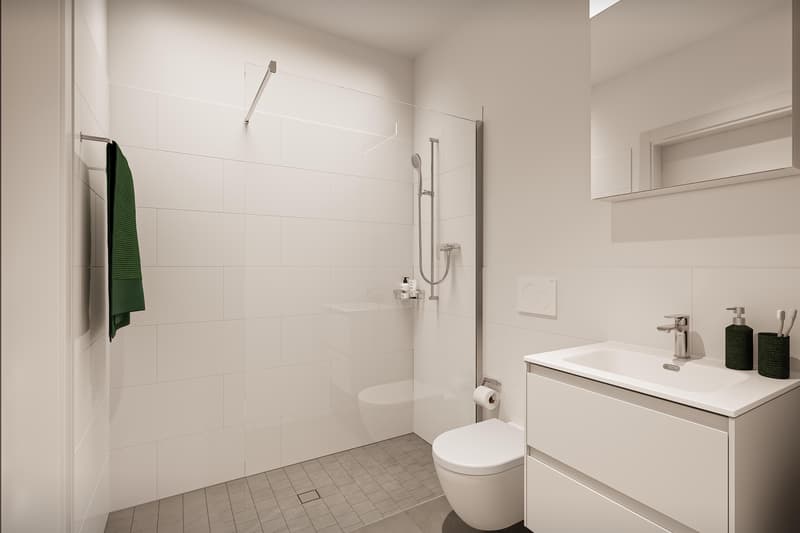 Appartamento 1.5 locali a Zurigo (3)