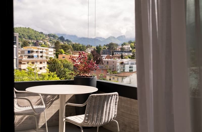 small terrace with table and chairs, potted plant, glass wall