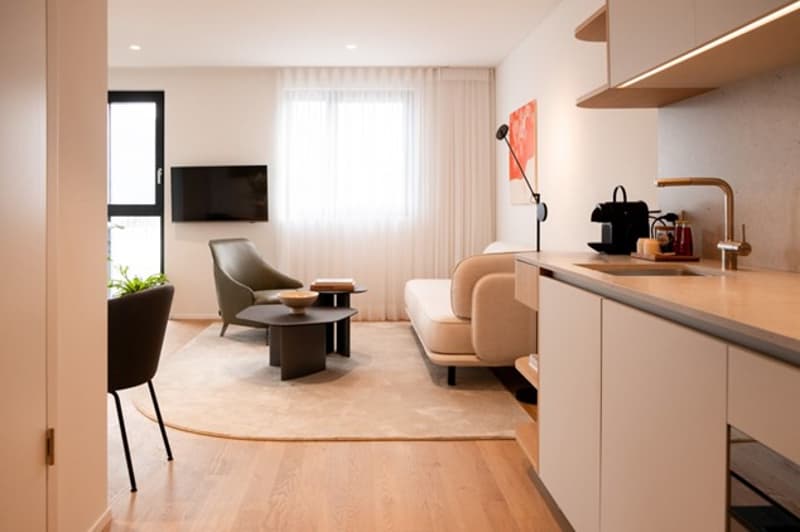 modern living room with TV, white sofa, white counter top, wooden flooring, round rug, coffee table, dining chair, desk