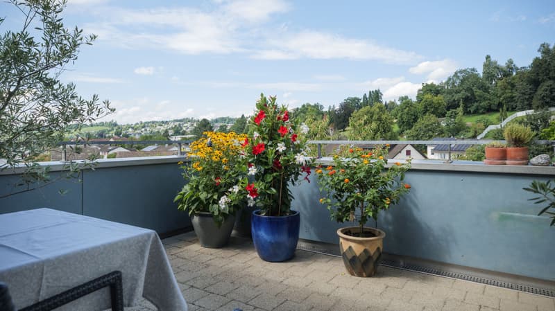 Wunderbare 4.5-Zimmer-Maisonettewohnung in Rapperswil-Jona (7)