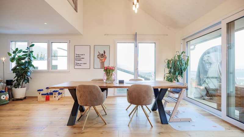 Gehobene 5.5-Zimmer-Attikawohnung mit Terrasse in Killwangen (1)