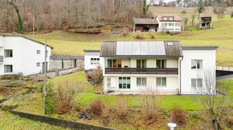 Traumhaftes 7-Zimmer-Haus in Zullwil (1)