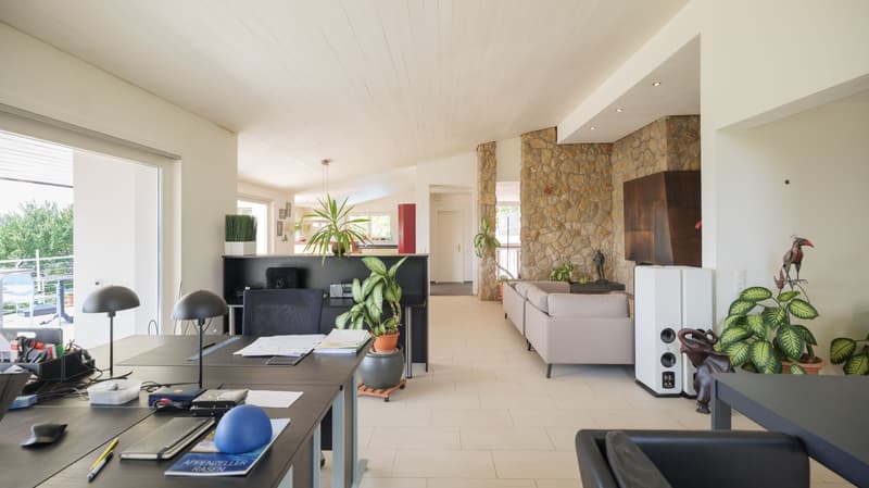 7.5-Zimmer-Villa mit unverbaubarem Alpenblick und Baulandparzelle (2)