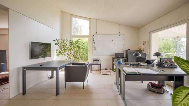 7.5-Zimmer-Villa mit unverbaubarem Alpenblick und Baulandparzelle (5)