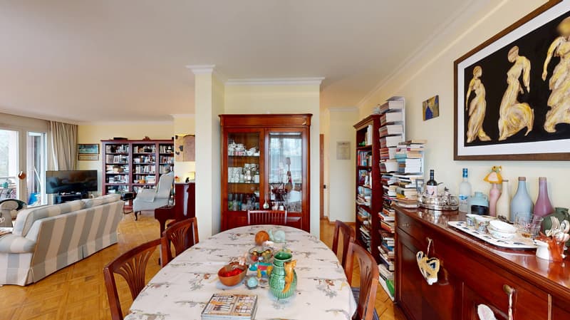 Charmant Appartement traversant de 6.5 pièces à Genève (5)