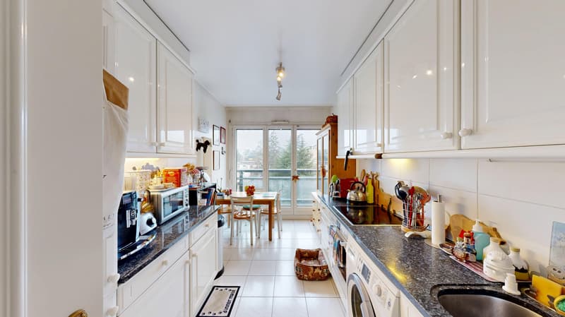 Charmant Appartement traversant de 6.5 pièces à Genève (6)