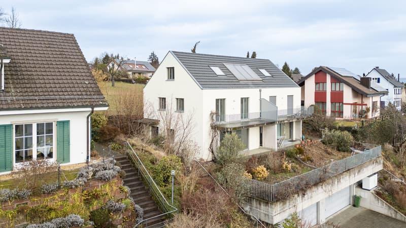 Modernes 5.5-Zimmer-Haus mit Panoramablick in Allschwil (5)