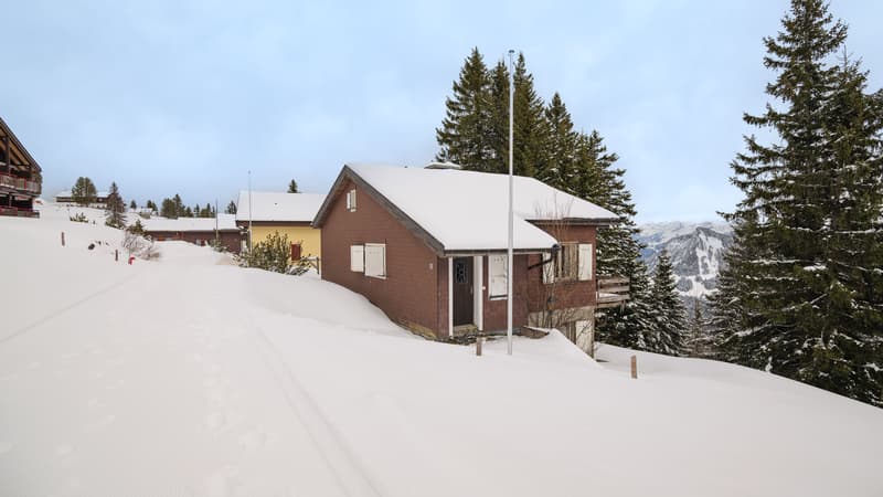 Freistehendes 4-Zimmer-Ferienhaus in Rigi Scheidegg (1)