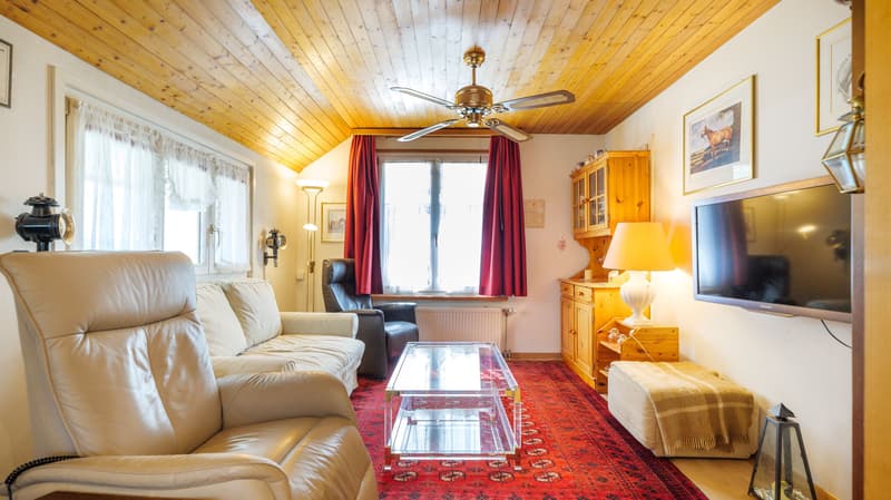 Gemütliches Haus mit zwei Nebengebäuden und Umschwung in Romanshorn (8)