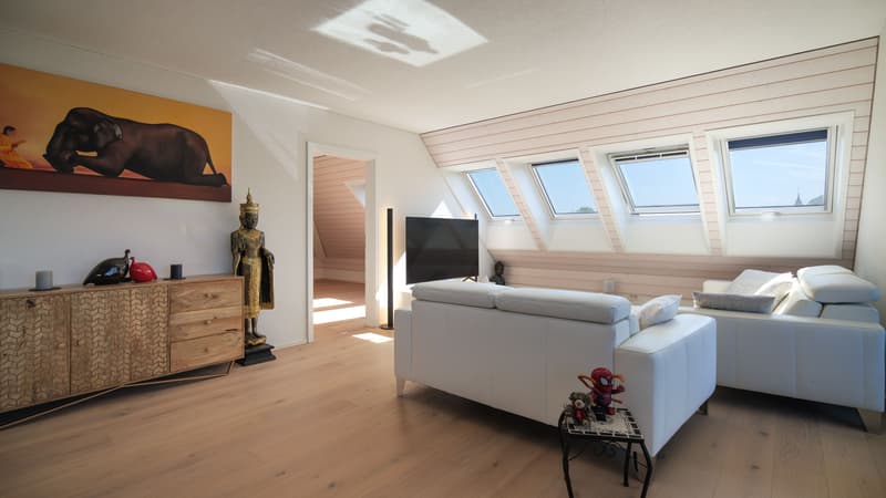 Edle 3.5-Zimmer-Dachwohnung in Hüniken (3)
