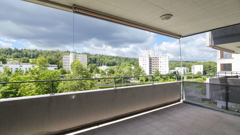 Schöne 2.5 Zimmer-Wohnung in Zürich (5)
