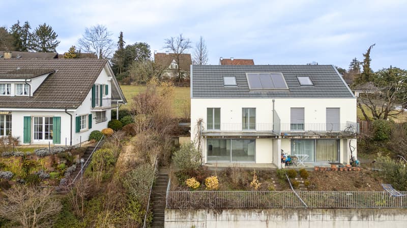 Modernes 5.5-Zimmer-Haus mit Panoramablick in Allschwil (1)