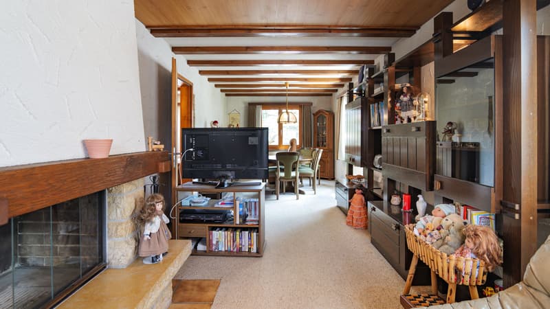 Charmantes 5-Zimmer-Haus an Toplage mit Baulandpotential in Büsserach (6)