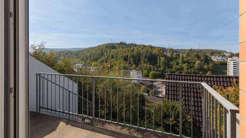 Wunderbares 5.5 Zimmer-Reihenmittelhaus in Liestal (5)