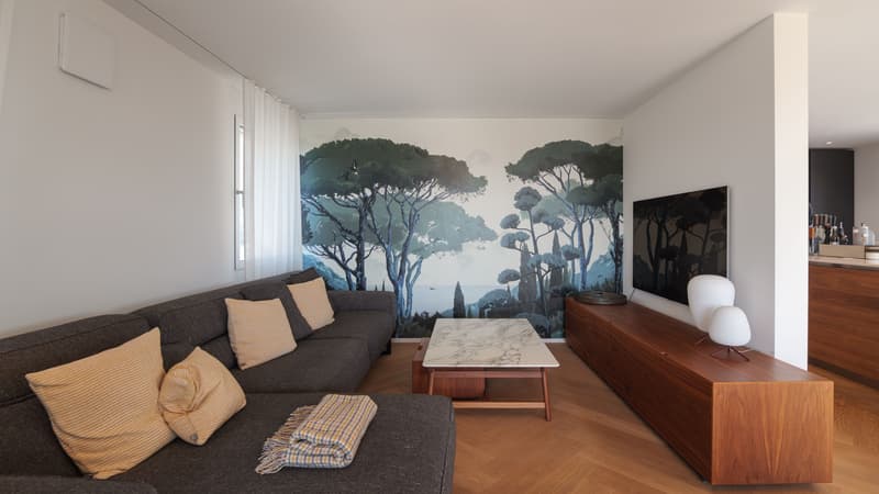 4.5-Zimmer-Haus mit grandioser Aussicht in Widen (5)
