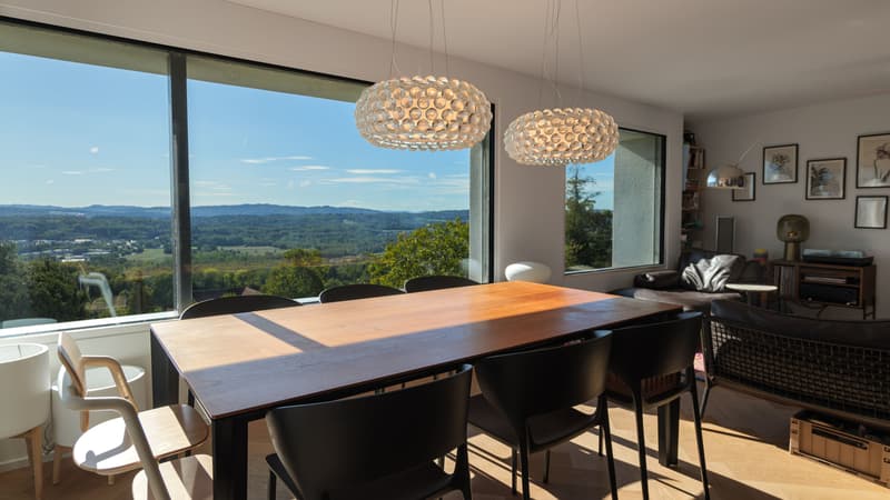4.5-Zimmer-Haus mit grandioser Aussicht in Widen (3)