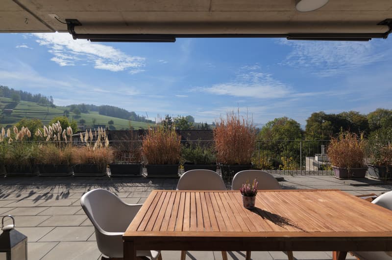 Grosszügige 4.5-Zimmer-Terrassenwohnung in Gebenstorf (7)