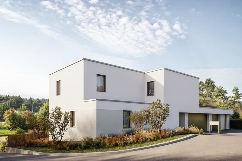 Appartement d'attique exclusif de 4,5 pièces à la meilleure situation en pente à Widen (4)