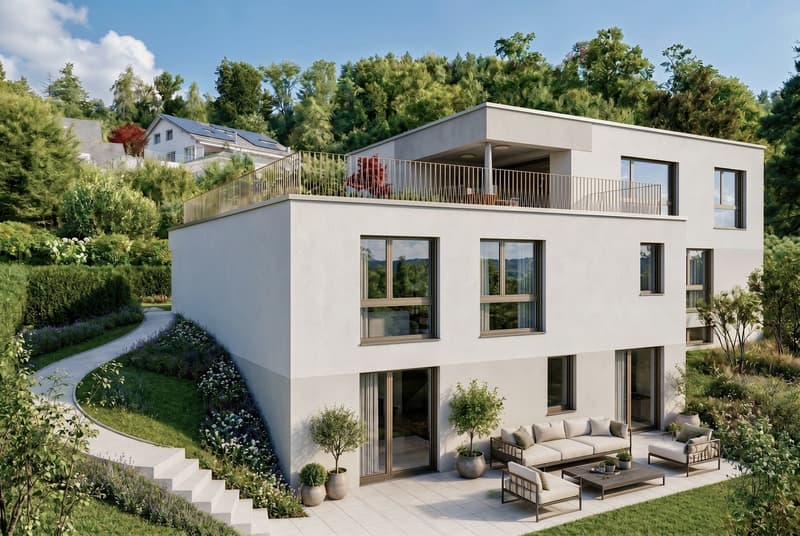 Exklusives neues 6.5-Zimmer-Einfamilienhaus an bester Hanglage in Widen (1)