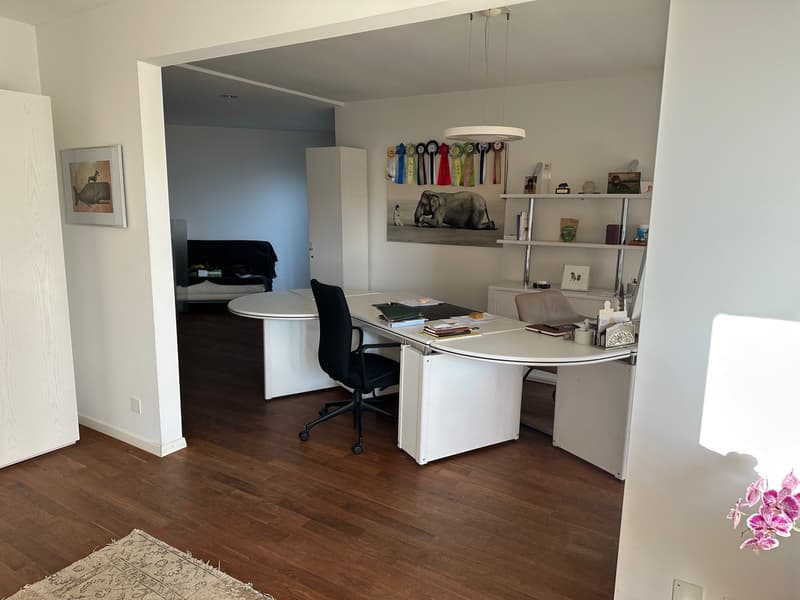 Exklusives Terrassenwohnen mit Weitblick (6)