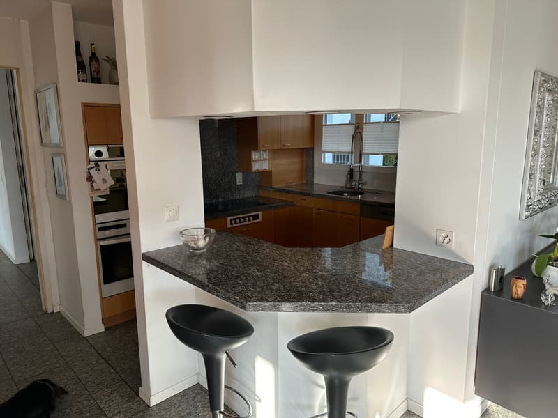 Exklusives Terrassenwohnen mit Weitblick (9)