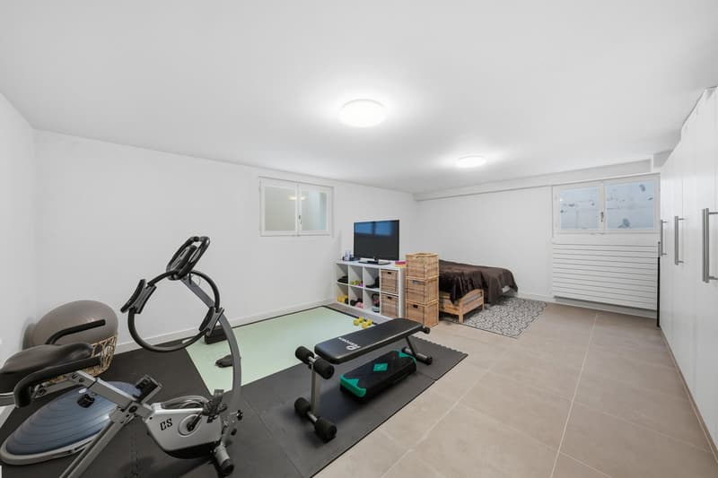 Maison individuelle familiale à Collonge-Bellerive – Accès lac et jardin piscinable (12)
